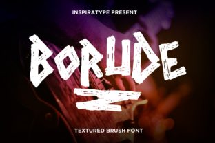 Borude Font in Branding Projects