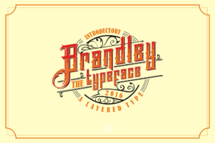 Brandley Font for Playful and Nostalgic Campaigns