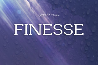 Finesse Display Font for Editorial Design