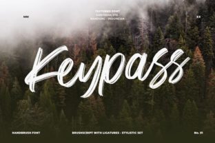 Keypass Font: A Bold Display Typeface for Branding
