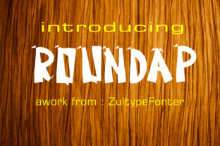 Roundap Font for a Bold Brand Boost